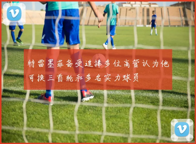 特雷墨菲备受追捧多位高管认为他可换三首轮和多名实力球员