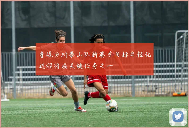 鲁媒分析泰山队新赛季目标年轻化进程将成关键任务之一